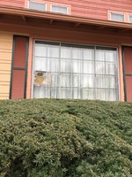 Broken house window